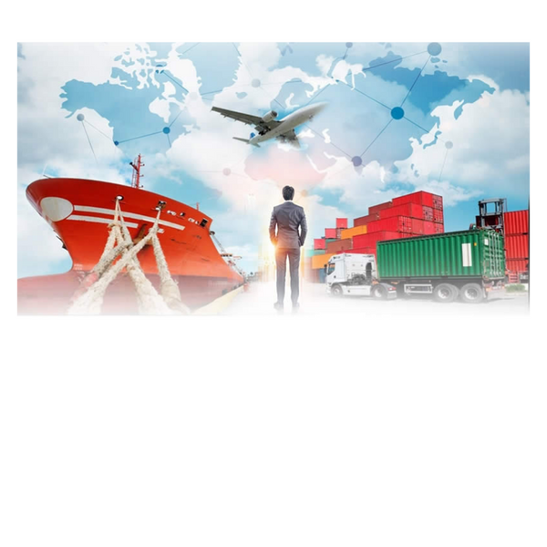 Export Consultancy and Training 